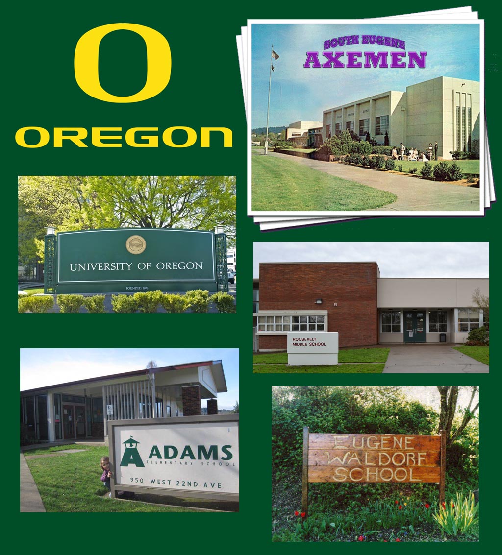 Schools collage